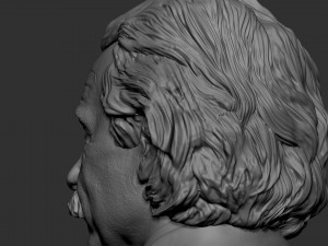 Albert Einstein Modèles 3D en vedette