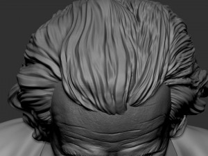 Albert Einstein Modèles 3D en vedette