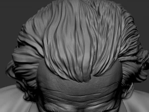 Albert Einstein 3D Print Model