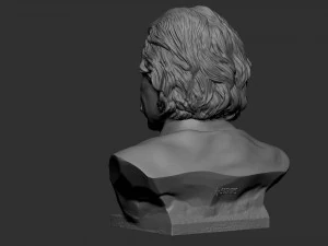 Albert Einstein 3D Print Model