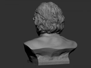 Albert Einstein 3D Print Model