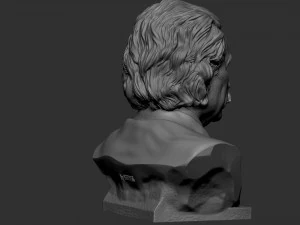 Albert Einstein 3D Print Model