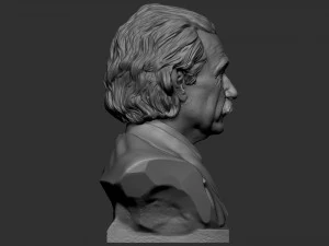 Albert Einstein 3D Print Model