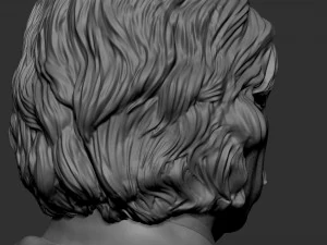 Albert Einstein 3D Print Model