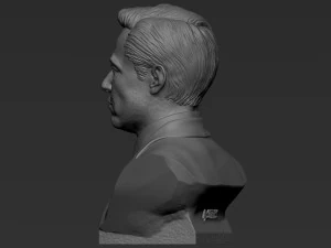 Elon Musk 3D Print Model