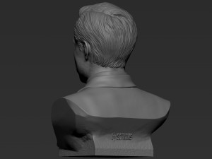 Elon Musk 3Dプリントモデル