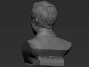 Elon Musk 3D Print Model