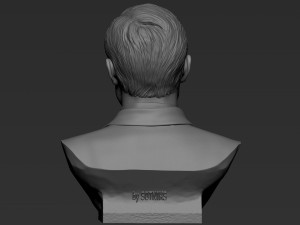 Elon Musk 3Dプリントモデル