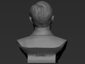 Elon Musk 3Dプリントモデル