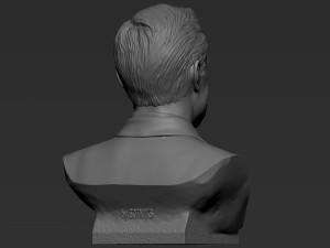 Elon Musk 3Dプリントモデル