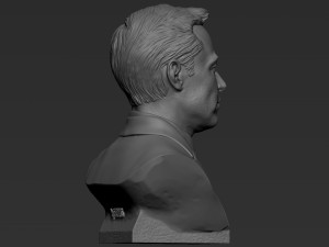 Elon Musk 3Dプリントモデル