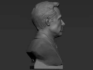 Elon Musk 3D Print Model