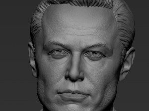 Elon Musk 3Dプリントモデル