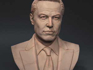 Elon Musk 3D प्रिंट मॉडल
