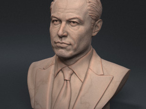 Elon Musk 3Dプリントモデル