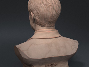 Elon Musk 3Dプリントモデル