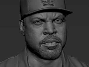 Ice Cube 3D Print Model