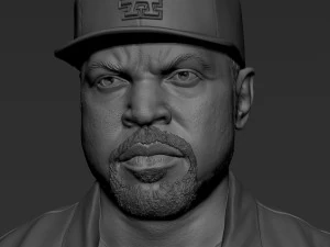 Ice Cube 3D Print Model