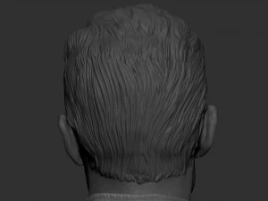 Michael Schumacher 3D Print Model