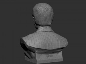 Nicolas Cage 3D-printmodel