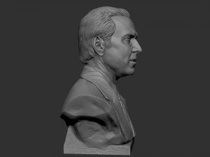 Nicolas Cage 3D Print Model