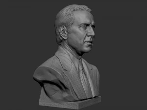 Nicolas Cage 3D Print Model
