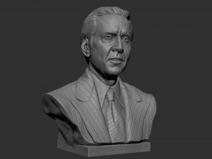 Nicolas Cage 3D-printmodel