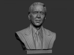 Nicolas Cage 3D Print Model