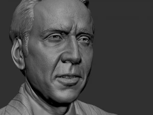 Nicolas Cage 3D Print Model