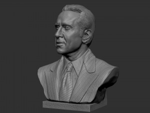 Nicolas Cage 3D-printmodel