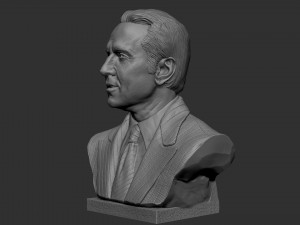 Nicolas Cage 3D-printmodel