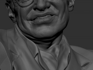 Stephen Hawking Modelo de Impressão 3D
