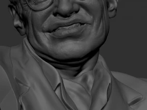 Stefan Hawking 3D printmodel