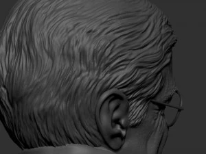 Stefan Hawking 3D printmodel