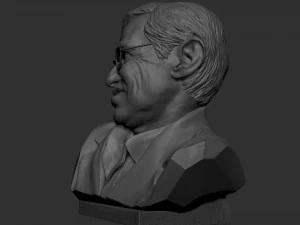 Stefan Hawking 3D printmodel