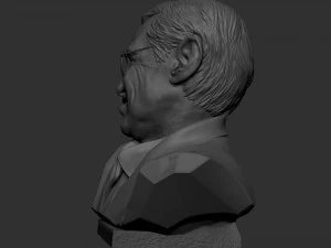Stefan Hawking 3D printmodel