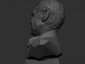 Stefan Hawking 3D printmodel