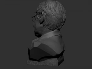 Stefan Hawking 3D printmodel