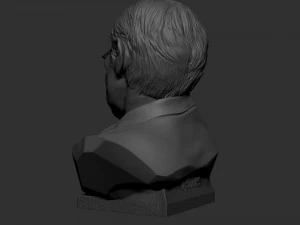 Stefan Hawking 3D printmodel