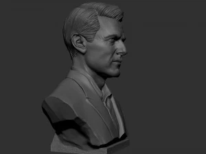 Tom Cruise 3D Print Model