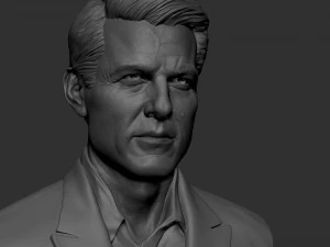 Tom Cruise 3D Print Model