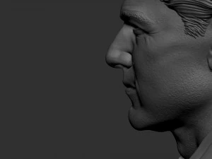 Tom Cruise 3D Print Model