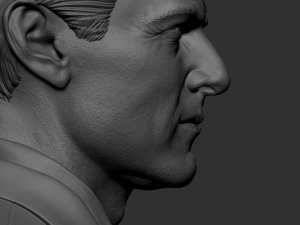 Tom Cruise 3D Print Model
