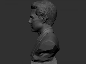 Tom Cruise 3D Print Model