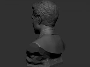Tom Cruise 3D Print Model