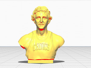 Larry Joe Bird 3Dプリントモデル