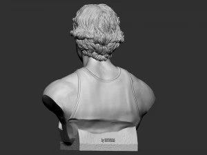 Larry Joe Bird 3D Print Model