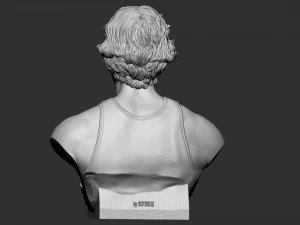 Larry Joe Bird 3D Print Model