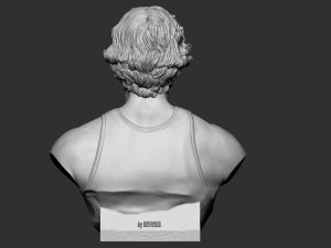 Larry Joe Bird 3D Print Model