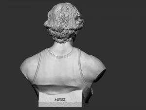 Larry Joe Bird 3D Print Model
